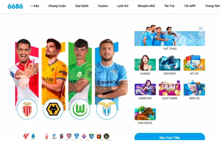 Cá cược bóng rổ